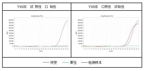 检测结果图_页面_1.jpg